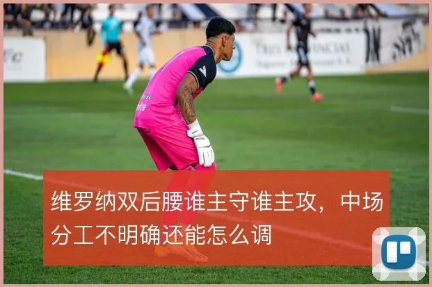 维罗纳双后腰谁主守谁主攻,中场分工不明确还能怎么调